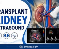 Transplant kidney